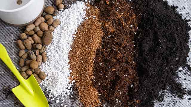 Organic Soil Mix Recipes for Houseplants