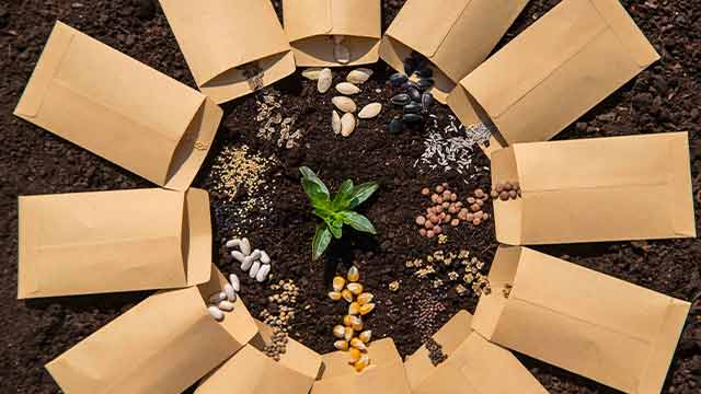 Seasonal Plant Rotation for Optimal Growth