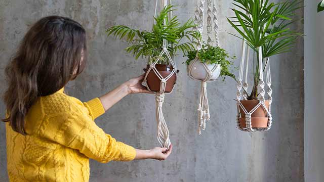 DIY Macramé Plant Hangers Tutorial