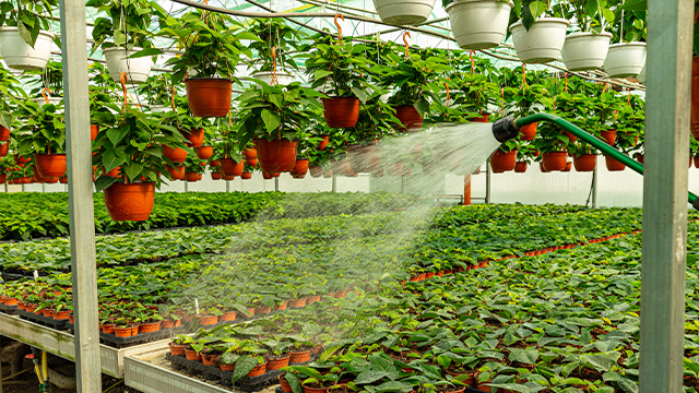 Humidity Trays and Misting Strategies