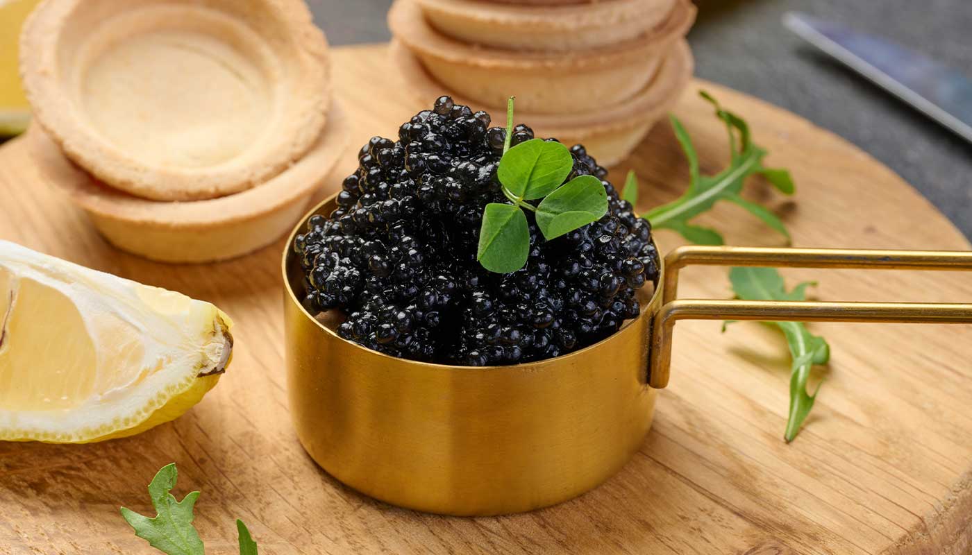 Perfect Pairings: The Best Wine and Regional Dishes for Special Occasions