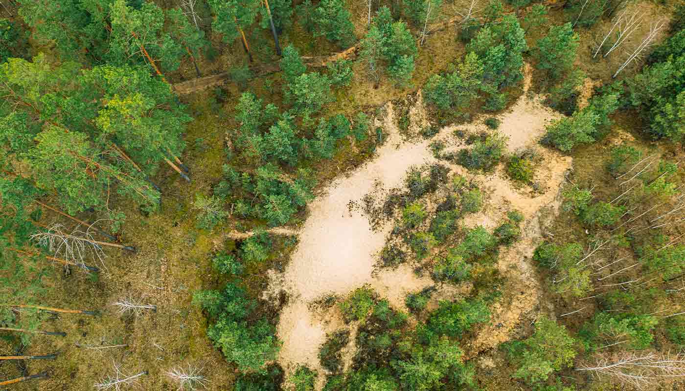 Plant-Based Eating: How Your Diet Can Help Save the Planet